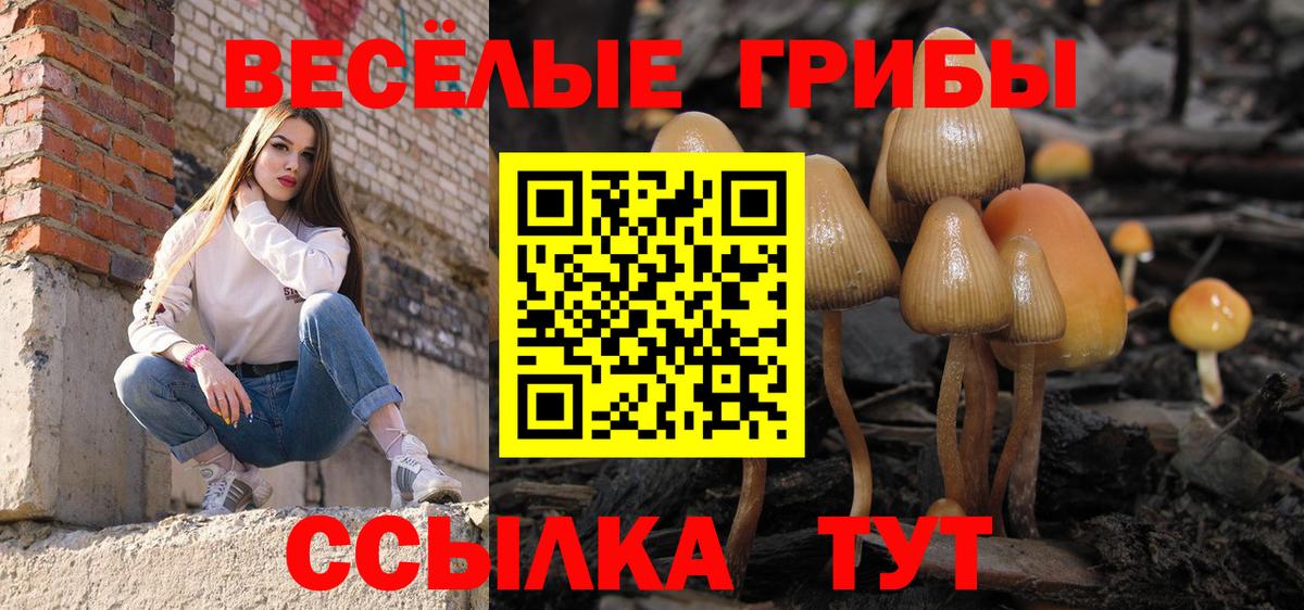 Псилоцибиновые грибы мухоморы  Вход с VPN  Камень-на-Оби  Псилоцибиновые грибы мухоморы 