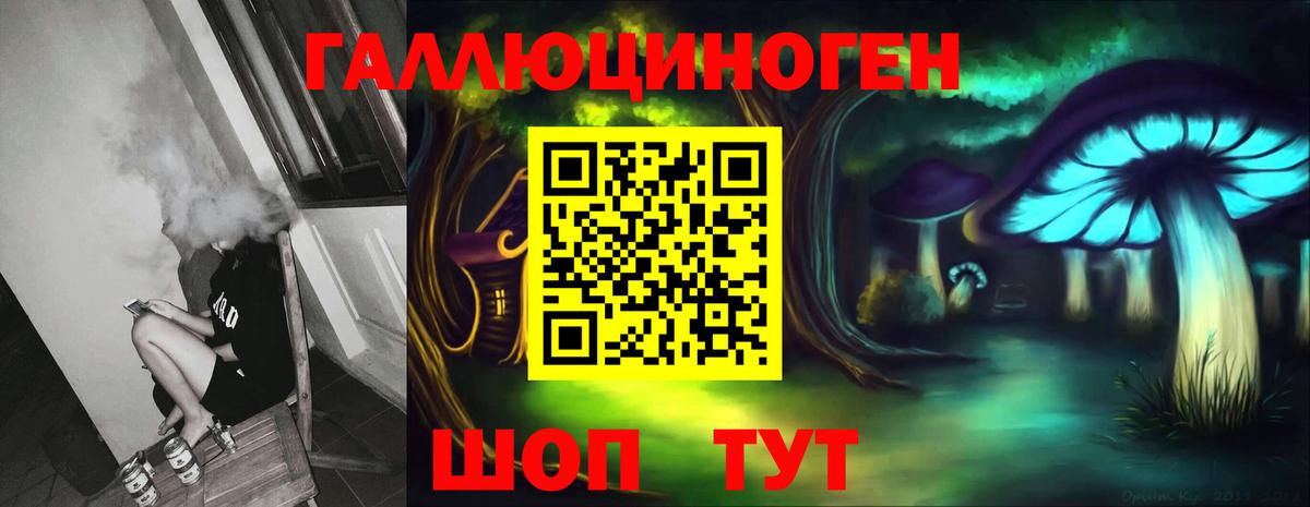 Псилоцибиновые грибы Psilocybe Камень-на-Оби